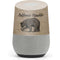 Cali Republic Vintage Google Home Skin